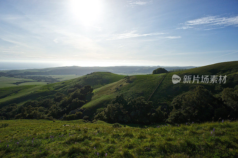 在San Simeon, CA附近起伏的山的景观